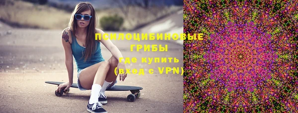 мяу мяу мука Арсеньев