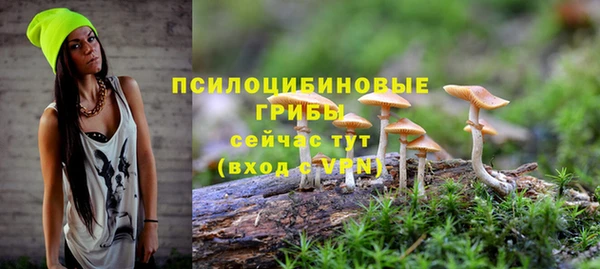 бутират Армянск