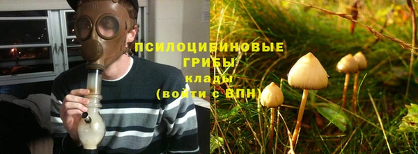 мяу мяу мука Арсеньев