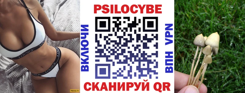 OMG как войти  Маркс  Галлюциногенные грибы мухоморы 